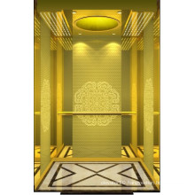 Competitive Price Machine Roomless Passenger Elevator